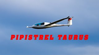 Flytur Pipistrel TAURUS