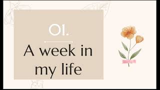 Intermediate english · unit 2 project