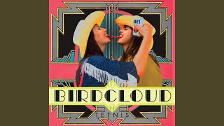 Video thumbnail of "Birdcloud - No Worries"