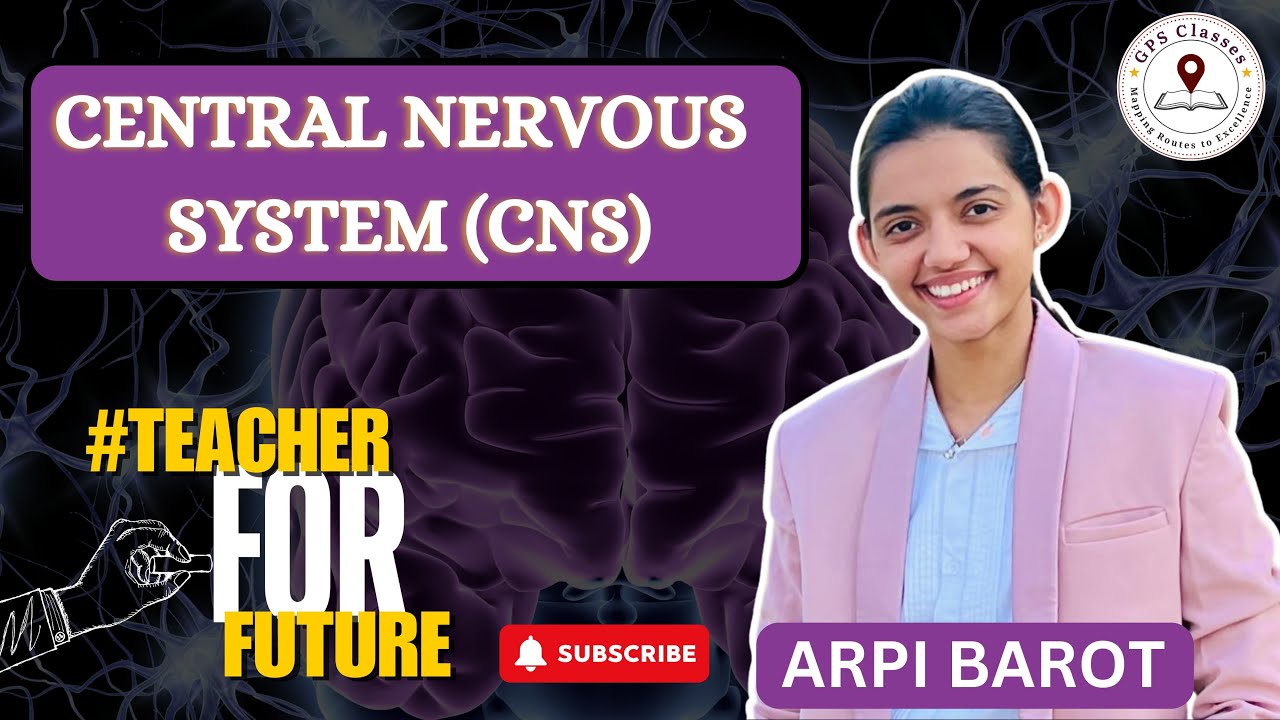 Central Nervous System (CNS) | Brain | Neuron