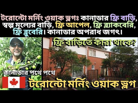 ভিডিও: কাঠের সাইডিং (39 টি ছবি): বাড়ির বাইরের প্রসাধনের জন্য কাঠের মতো বিকল্প, কানাডিয়ান এবং ফিনিশ উপাদানগুলির বৈশিষ্ট্যগুলি কী, কীভাবে সঠিক পছন্দ করবেন