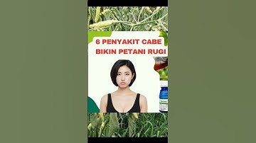 Part 1 | 6 Penyakit Cabe Yang Bikin Rugi #shorts