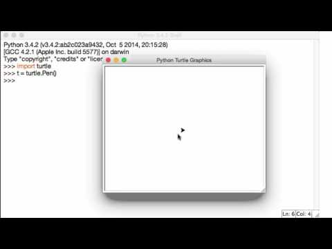 006 Turtle Module