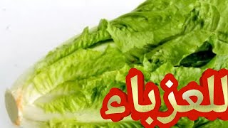 تفسير حلم رؤية الخس في المنام للفتاة العزباء ما تفسير الخس في المنام للعزباء الخس في المنام للعزباء