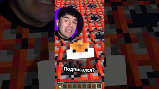 ХОМЯК ЗАМАНИЛ МЕНЯ НА ПОЛ ИЗ TNT #minecraft #memes