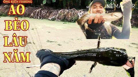 câu rê cá lóc ao bèo lâu năm