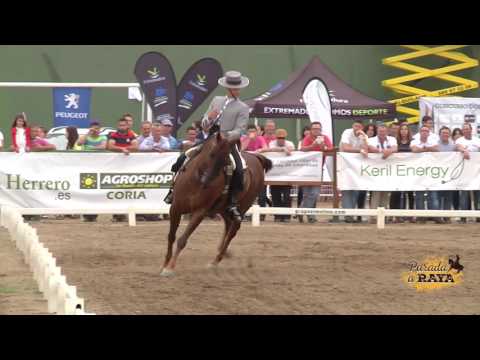 Álvaro Teba Del Pino Con Tiburona. Campeones De La XI Copa S.M. El Rey De Doma Vaquera 2017