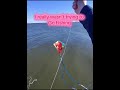 I Was Flying My Kite Yesterday When Whoosh It Dove Right Into The Water Fishing Kite Wind I Was Flying My Kite Yesterday When Whoosh It Dove Right Into The Water Fishing Kite Wind