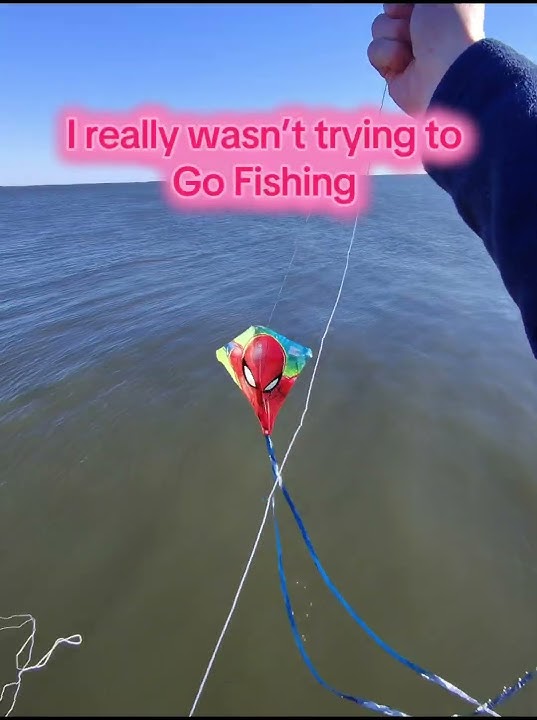 I was flying my kite yesterday when whoosh – it dove right into the water. #fishing #kite #wind