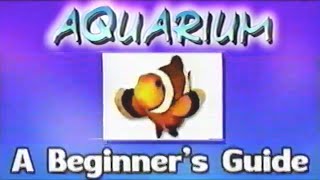 A Beginner’s Guide to Aquarium by DS and Fantasy Aquarium by DS