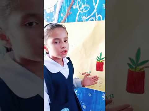 Grade 2 |