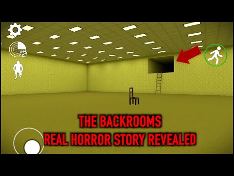 THE BACKROOMS-Real Horror Story Revealed
