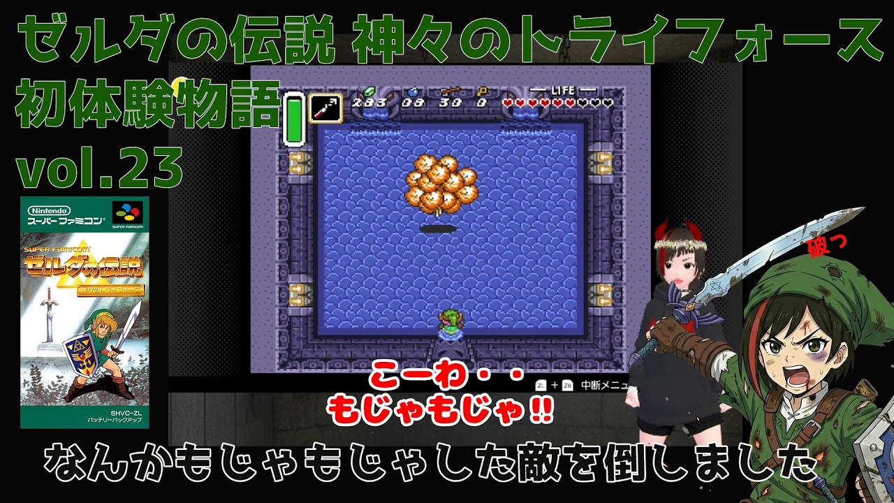 ゼルダと彷徨う時代錯誤の自称勇者｜天罰なる日々