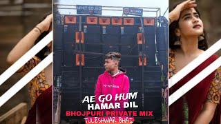 Ae Go Hum Hamar Dil ‼️ Bhojpuri Private Mix ‼️ DJ TULESHWAR BHAI and DJ NS 