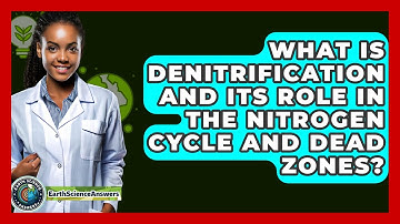What Is Denitrification And Its Role In The Nitrogen Cycle And Dead Zones? - Earth Science Answers