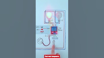 2 Channel Relay Module Signal Simulation without Arduino #shots
