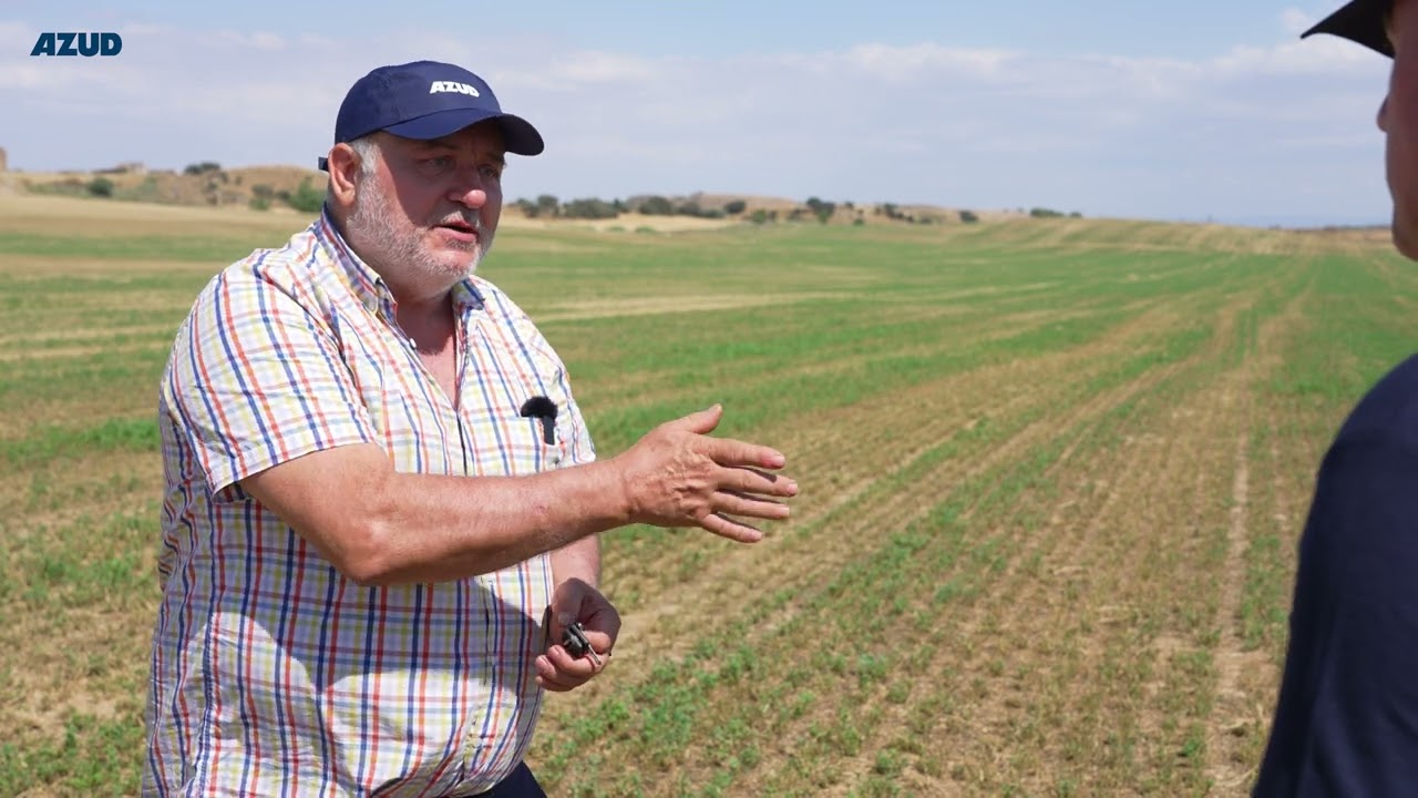 Riego por Goteo Subterráneo en finca de alfalfa