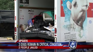 Three out of 14 dogs found in Uhaul remain in critical condition