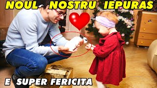 🐇 SURPRIZĂ NOUL nostru IEPURAȘ de companie - FETIȚA noastră este foarte FERICITĂ! ❤