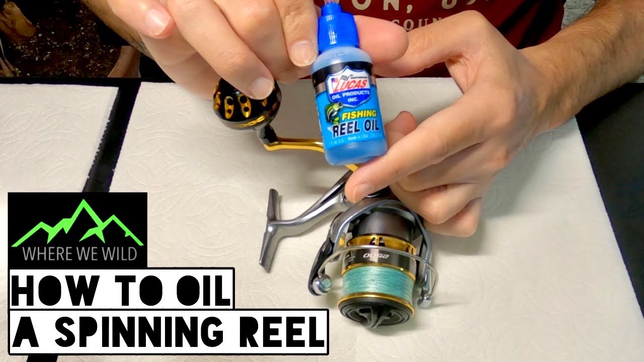 HOW TO OIL A SPINNING REEL - Basic Fishing Reel Maintenance - YouTube