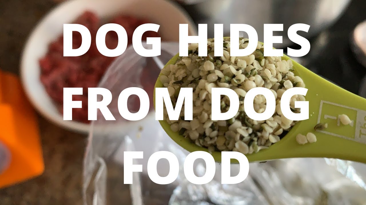 Making Homemade Dog Food - Vet Recipe ~ KiwiYorkie - YouTube