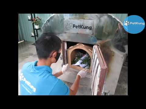 thu cung hcm New Hỏa táng bé Kem - Hỏa táng thú cưng TP HCM