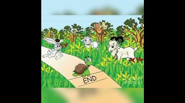 The Tortoise and the Hare | A Timeless Lesson of Patience and Perseverance