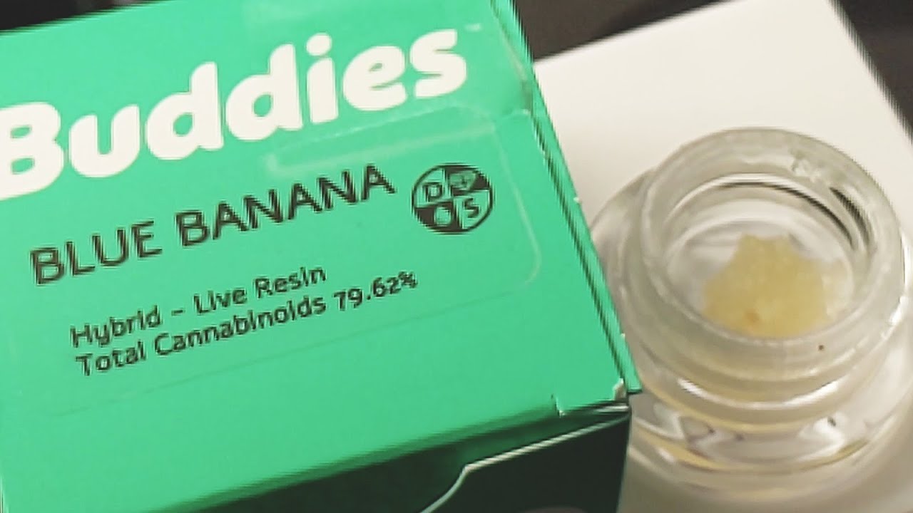 THIS WAX TASTES LIKE CHRYSANTHEMUM