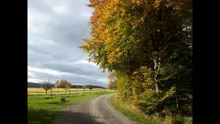 Paseando Por Horb Am Neckar