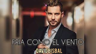 Fría Como El Viento - David Bisbal [IA] - [Luis Miguel]