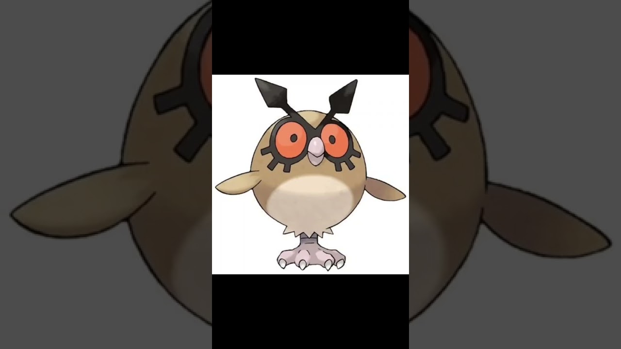 Hoothoot Pokemon Evolution 🧐 