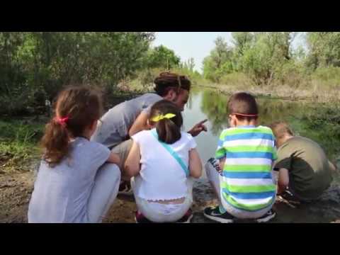 Video: Koje Su Odgovornosti Pomoćnika Vaspitača U Vrtiću?