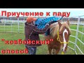 Приучение к паду лошади. "Ковбойский" способ