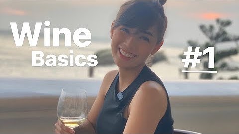 Cơ bản về rượu vang dành cho người mới bắt đầu cùng Hạnh Around | Wine Basics Ep.1