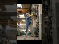 新人猫の現場ヒヤリ・ハット〜脚立編〜