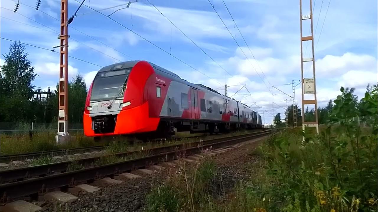 Жд ласточка петрозаводск. Ласточка Псков Петрозаводск. Воронеж Ласточка эс1. Ласточка СПБ Псков. Ласточка в Петрозаводск из СПБ.