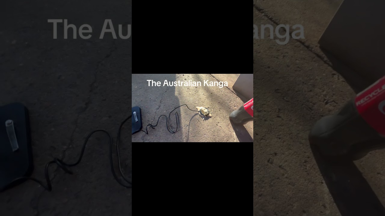 Real or fake (video not altered)