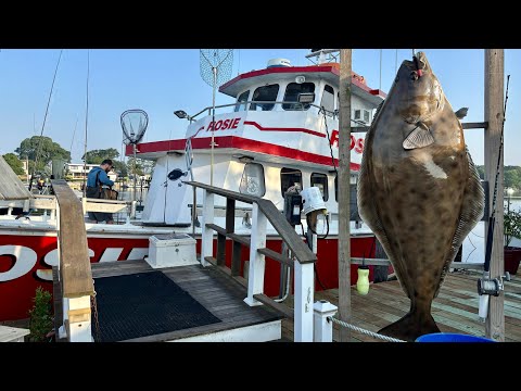 Fish Butchery | South Shore Fluking