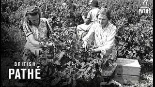 Home Drive For Food - Britains Harvest 1947 1947