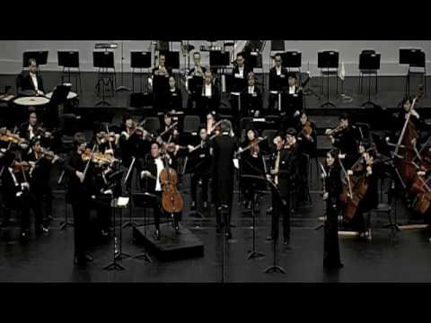 Haydn's Sinfonia Concertante in Bflat major 2nd Movmt.