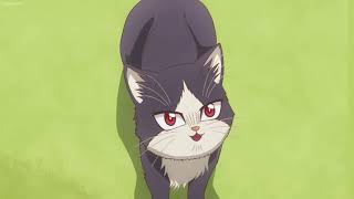 Haru Evergarden -【AMV】- My Roommate is a Violet Cat