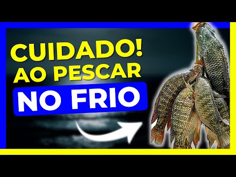 Vídeo: Como Fazer Sua Própria Caixa De Pesca De Inverno