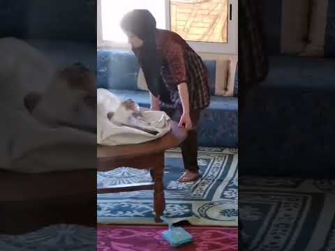 اللهم عجل لوليك الفرج صلوا على النبيﷺ دعاء مستجاب 