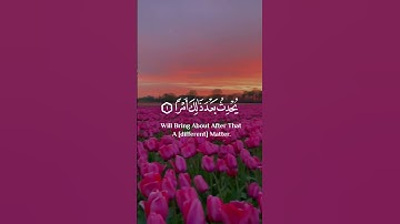 لا تدري لعل الله يحدث بعد ذلك أمرا )🌼💙 سورة : الطلاق 💗🌿      القارئ : رعد الكردي 🌸❤ | Surah Talaq