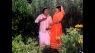 Chellamma Anicha Malar