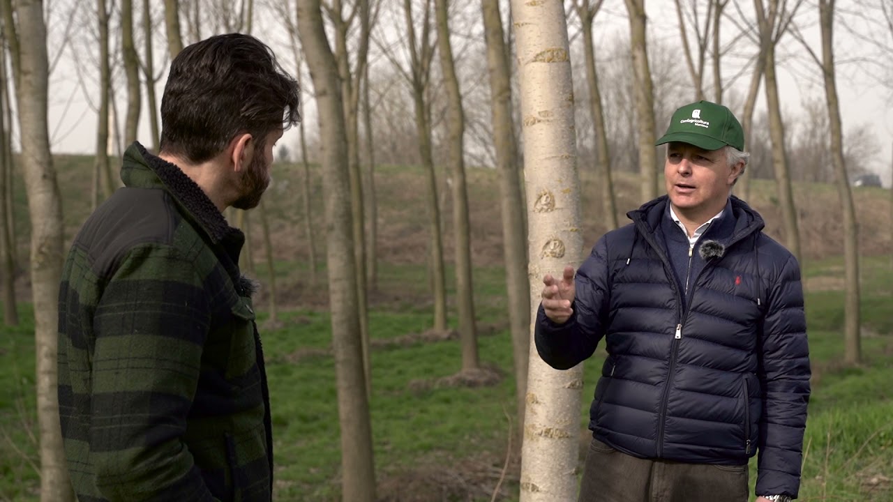Farmers 4 Future  - Come i pioppi ripuliscono la Pianura padana da smog e inquinamento