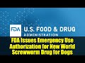 FDA Issues Emergency Use Authorization for New World Screwworm Drug for Dogs