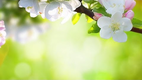 Number system conversion (part-2)