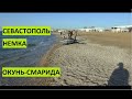 Рыбалка на Черном море 2021. Севастополь. Орловка. Немецкая балка. Отчет