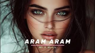 ' ARAM ARAM ' Music || Hip Hop & Reverb || Prod. by Mr X Music